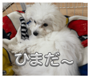 842053819