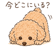 842053937