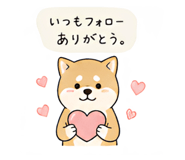 842053975