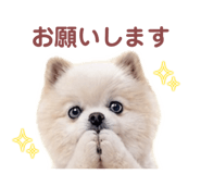 842054198