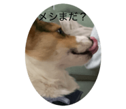 842054369