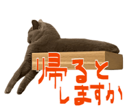 842054422