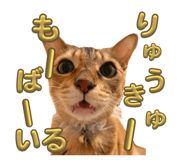 842054475