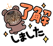 842054762