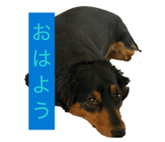 842054857