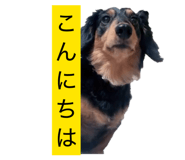 842054858