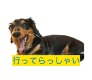 842054863