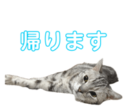 842054877