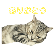 842054883