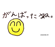 842055207