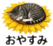 842055503