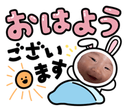 842055516