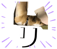 842067495