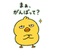 842067506