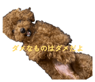 842068108