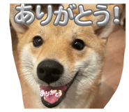 842068658