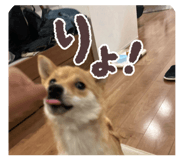 842068660