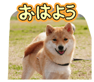 842068661