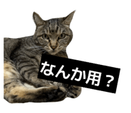 842068965