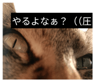 842068966