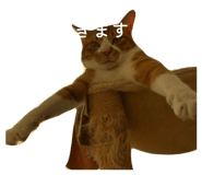 842068967