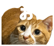 842068968