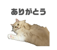 842069186
