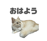 842069188