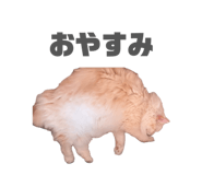 842069189