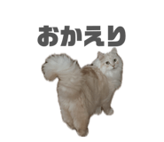 842069190