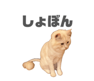 842069192
