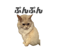 842069193