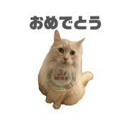 842069194