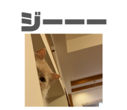 842069196