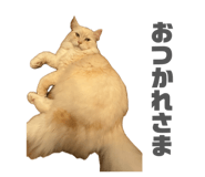 842069198