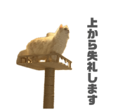 842069199