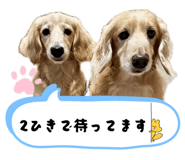 842072902