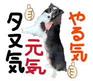 842073577