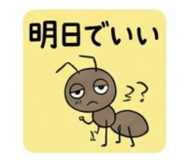 842073621