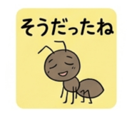 842073623
