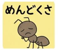 842073624
