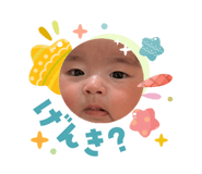 842073641