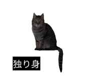 842073654