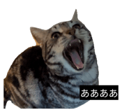 842073657