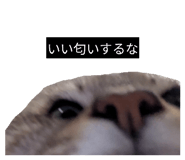 842073660