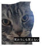 842073661