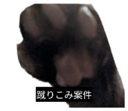 842073662