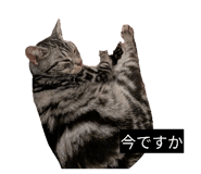 842073663