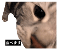 842073666