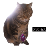 842073667